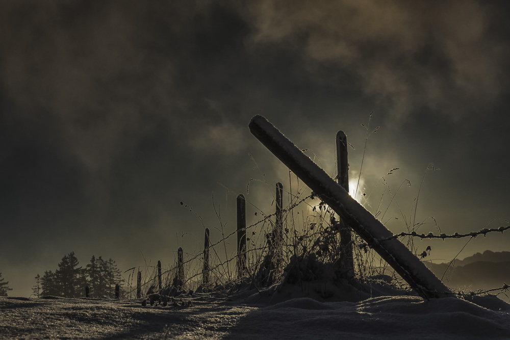 4. Platz Conny Kleiner